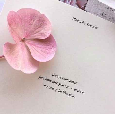 Change Quotes Positive, Healing Hearts, Rose Quotes, Happy Sunday Quotes, Sunday Quotes, Flower Quotes, Breakup Quotes, Poem Quotes, Islamic Inspirational Quotes