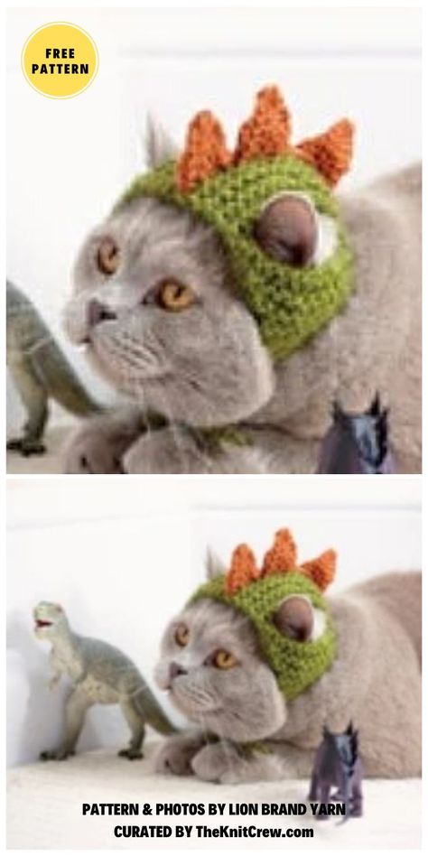 6 Free Knitted Cat Hat Patterns. These 6 Easy and Cute 6 Free Knitted Cat Hat Patterns are curated by The Knit Crew. Cats In Hats, Cat Hat Pattern, Kat Haken, Pet Costumes Cat, Crochet Cat Hat, Dinosaur Hat, Fox Hat, Cat Halloween Costume, Pattern Cat