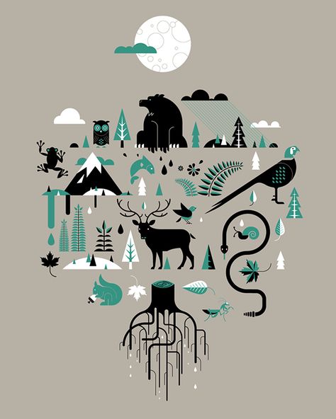 Infographic Animation, Savanna Animals, Tree Sign, Wolf Images, Infographic Poster, Forest Illustration, Typographic Print, Artist Models, Forest Friends