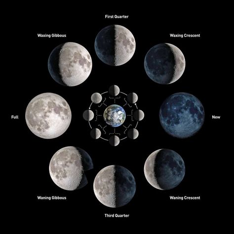 Moon Stages, Moon Facts, Sturgeon Moon, New Moon Phase, Moon Date, Astrology Calendar, Next Full Moon, Moon Phase Calendar, New Moon Rituals