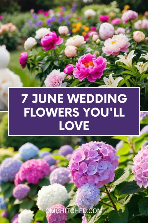 Planning a June wedding? Discover these 7 amazing flowers that will make your special day blooming beautiful! From pretty hydrangeas to sweet peonies, each flower brings its own special charm. Want colorful hues and romantic vibes? These blooms are perfect to create a lovely wedding atmosphere! Check out the best choices that will match your wedding theme and impress your guests. Save this pin for flowers that will make your wedding DAY HERE the best memory ever! Follow us for more great wedding tips! June Flowers In Season Wedding Bouquets, Wedding Flower Styles, Spring Flowers For Wedding, June Flowers In Season, Early June Wedding, Fairy Lights Wedding Reception, May Wedding Flowers, Types Of Wedding Flowers, June Wedding Flowers