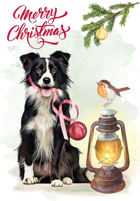 Christmas Border Collie, Winter Border, Dog Portraits Painting, Christmas Window Painting, Charity Christmas Cards, Dog Quotes Love, Dog Christmas Card, Christmas Border, Border Collie Dog