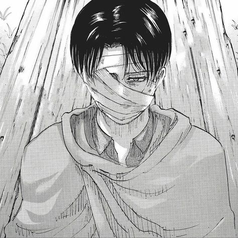 Levi Manga, Attack On Titan Aesthetic, Erwin Smith, Naruto And Sasuke Wallpaper, Lion Wallpaper, Captain Levi, Good Anime To Watch, Evil Anime, Cute Tumblr Pictures