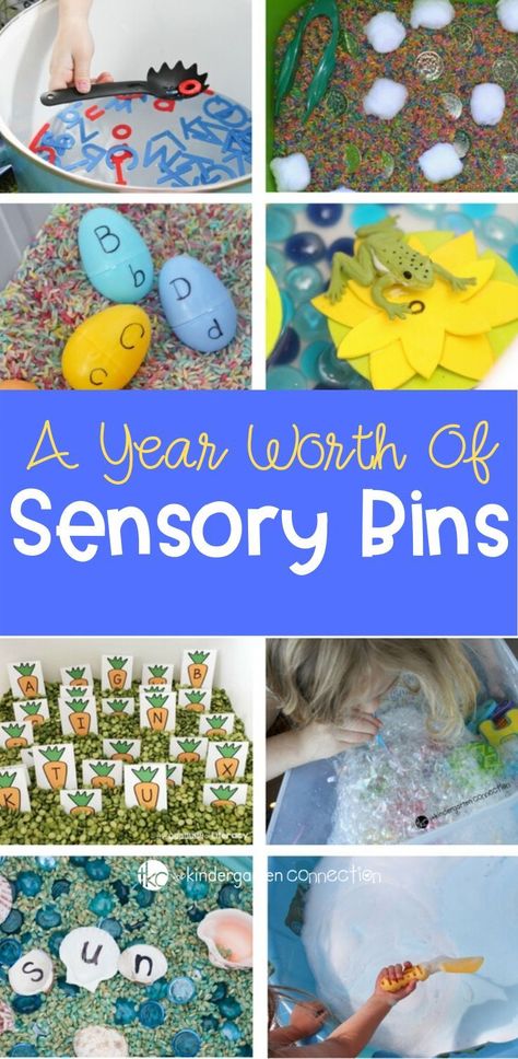 This collection of 12 Classroom Sensory Bin Activities will last you all year long and most can be stored for repeated use year after year! #sensorybin #sensoryactivities #preschoolactivities #kindergartenteachers Project Based Learning Middle School, Kids Learning Activities Preschool, Sensory Bin Activities, Kindergarten Sensory, Early Childhood Education Classroom, Fall Kindergarten Activities, Sensory Bin Ideas, Early Childhood Education Resources, Early Childhood Education Activities