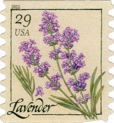 Lavender Flower Aesthetic Vintage, L Aesthetic, Lavender Stamp, Usa Stamps, Postal Vintage, Lavender Aesthetic, Aesthetic Sticker, Postage Stamp Art, Scrapbook Stickers Printable