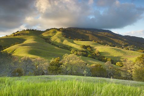 Non Profit Website, California Hills, Flint Hills, Public Golf Courses, Best Golf Courses, California Photos, Playing Golf, California Landscape, Central California