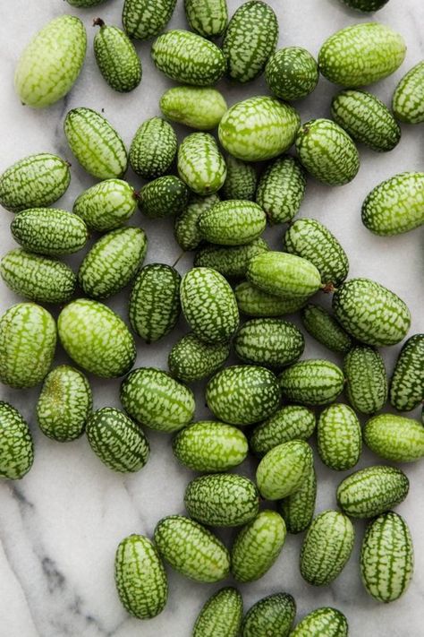 This Mexican Cucumber Looks Exactly Like a Tiny Watermelon — Ingredient Intelligence Mouse Melon, Mexican Cucumber, Cucamelon Recipes, Mantu Recipe, Kitchen Reference, Healthy Cookbooks, Wassail Recipe, Mexican Garden, Eating Bird Food