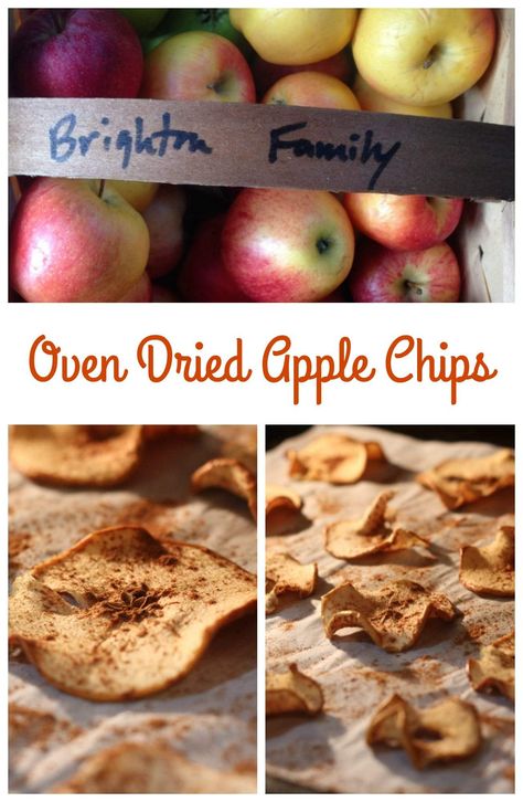 Dried Apple Chips, Dried Fruit Recipe, Apple Chips Recipe, Cinnamon Apple Chips, Apple Chips Baked, Whole 30 Snacks, Slow Cooker Apple Butter, Fall Apple Recipes, Apple Treat