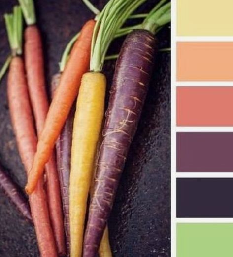 Carrot Color Palette, Carrot Colour, Fruit And Veggie, Story Board, Design Seeds, Colour Schemes, Colour Palette, Color Palettes, Bing Images