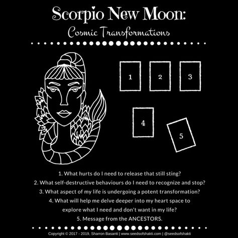 Witch Routine, New Moon Tarot Spread, Grimoire Notebook, Tarot Layouts, New Moon Tarot, Scorpio New Moon, New Moon In Scorpio, Moon Core, New Moon Full Moon