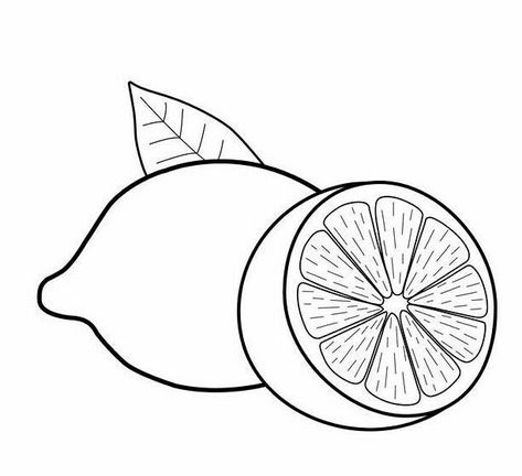 Pencil Drawings For Beginners, Fruit Coloring Pages, Fruits Drawing, Simple Hand Embroidery Patterns, Concept Art Tutorial, Harry Potter Drawings, Easy Coloring Pages, Animal Coloring Pages, Hand Embroidery Patterns