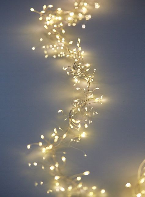 warm white L.E.D. cluster light wedding party event decor Half Background, Bulb Photography, Holiday Event Decor, Winter Wedding Decor, Mountain Christmas, Rice Lights, Decor Stand, Christmas Light Installation, Hanging Christmas Lights