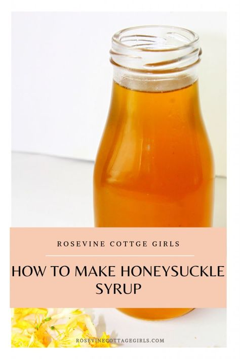 Honeysuckle Syrup Recipe, Honeysuckle Simple Syrup, Honeysuckle Syrup, Honeysuckle Recipes, Backyard Foraging, Herb Magic, Eating Flowers, Simple Syrups, Foraged Food