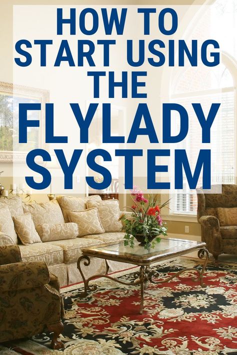 The Fly Lady, Fly Lady Cleaning, Spring Cleaning Organization, Fly Lady, Zone Cleaning, Cleaning Schedules, Cleaning System, Best Marriage Advice, House Cleaning Checklist