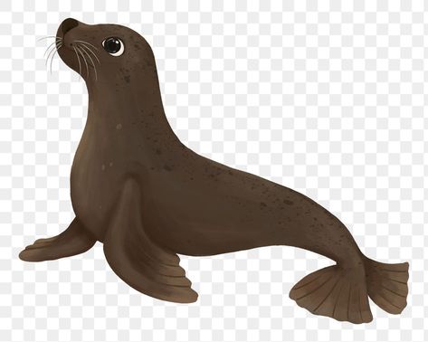 Sea Lion Aesthetic, Sea Lion Illustration, Lion Cartoon Drawing, Lion Aesthetic, Lion Png, Aesthetic Paint, Lion Illustration, Vbs 2024, Illustration Cute