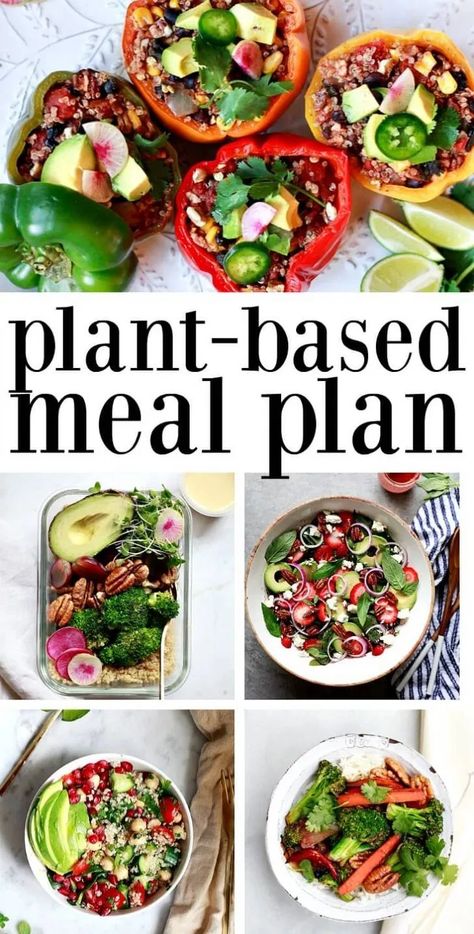 Vegan Weekly Meal Plan, Meal Prep Week, Burger Vegetarian, Sandwich Vegetarian, Free Weekly Meal Plan, Plant Based Diet Meals, Plant Based Diet Meal Plan, Vegan Meal Plan, Plant Based Meal