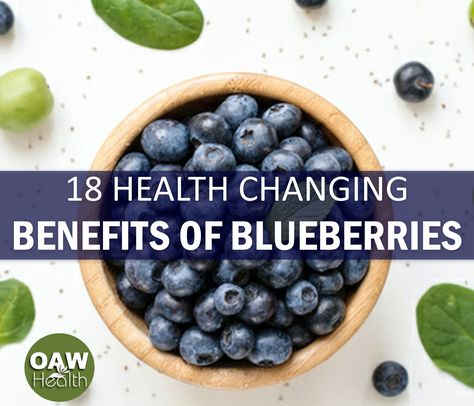 Continuing research shows that some of the health-changing benefits of blueberries include protecting against, and even reversing, some cognitive loss. Blueberry Nutrition Facts, Blueberry Benefits, Benefits Of Berries, Benefits Of Organic Food, Organic Blueberries, Healthy Food Options, Medical Prescription, Natural Medicine, Organic Recipes