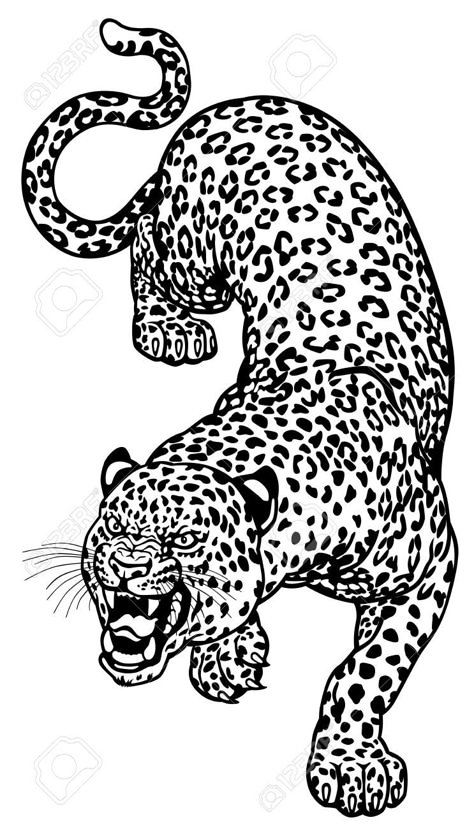 Angry Leopard, Leopard Black And White, Tattoo Leopard, Fenrir Tattoo, Cheetah Tattoo, Leopard Tattoo, Black And White Tattoo, Jaguar Tattoo, Leopard Tattoos