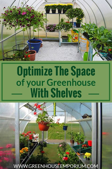 Greenhouse Shelving Ideas, Greenhouse Shelving, Greenhouse Shelves, Cheap Greenhouse, Solar Greenhouse, Best Greenhouse, Outdoor Greenhouse, Build A Greenhouse, Indoor Greenhouse