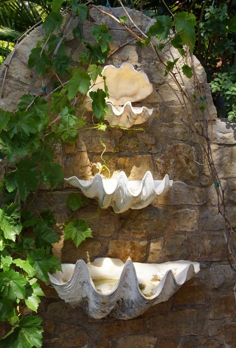 Piece of Eden: Garden Tours  • Shell Waterfall Shell Interior Design, Mermaid Aesthetic Room, Garden Of Eden Aesthetic, Shell Garden, Shell Grotto, Sea Garden, Taman Air, Eden Garden, Shell House