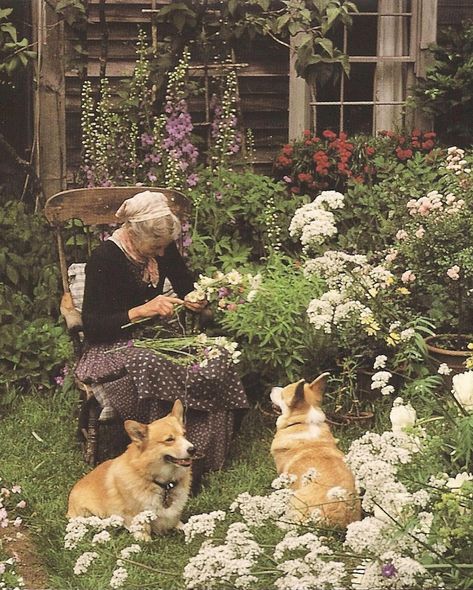 Upstate Diary | Tasha Tudor in her garden. #tashatudor | Instagram Zoe + Core + Aesthetic, Gremlincore Aesthetic, Cottage Core Garden, Tasha Tudor, In Her Garden, Personalized Art Print, English Cottage Style, English Cottage Garden, Garden Girls