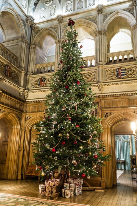 Highclere Castle Christmas, Downton Abbey House, The Real Downton Abbey, Castle Kitchen, Animals Together, Carol Singers, Castle Christmas, Highclere Castle, Knock On The Door