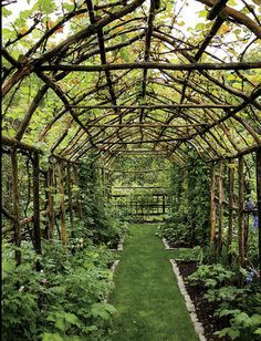 Plantarea Legumelor, Sun Loving Plants, Garden Vines, Garden Trellis, Garden Structures, Garden Room, Dream Garden, Backyard Garden, Garden Projects