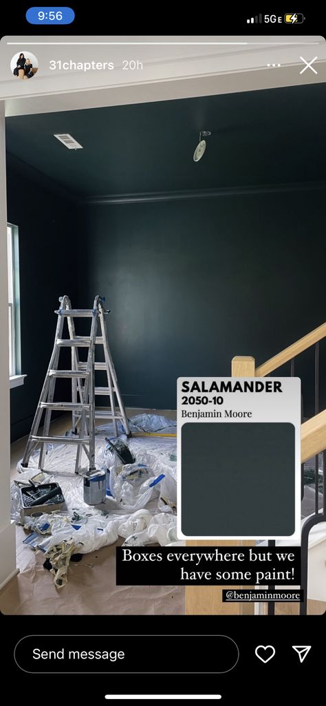 Salamander Exterior Paint, Salamander Benjamin Moore Exterior, Basement Color Schemes With Black Ceiling, Bm Salamander Paint, Outlander Paint Colors, Salamander Benjamin Moore, Benjamin Moore Salamander, Ranch Montana, Home Paint Colors