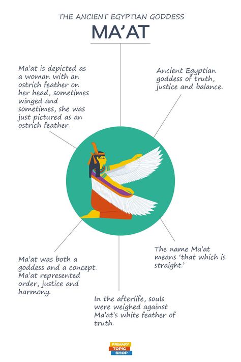 During the Weighing of the Heart of the Soul ceremony in the afterlife, Osiris place the heart of someone who died on a golden scale and weighed it against Ma'at's white feather of truth. If the heart was lighter than the feather, the deceased went to a paradise called the Field of Reeds, but if the heart was heavier, the heart was eaten by Amut. Weighing Of The Heart, Field Of Reeds, Ancient Egyptian Goddess, Truth And Justice, Egyptian Goddess, White Feather, The Afterlife, White Feathers, Ancient Egyptian