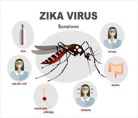 (2) #zikamedchat hashtag on Twitter Humanitarian Work, Zika Virus, Maternal Health, Reproductive Health, Medical Technology, Healthy Pregnancy, Muscle Pain, Patient Care, Pharmacist