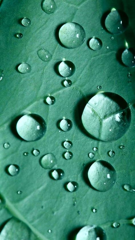 Water Bubbles Wallpaper, Water Droplet Photography, Water Droplets Wallpaper, Water Droplets Photography, Water Droplets Art, Droplets Of Water, Drops Of Water, Bubbles Wallpaper, Water Photography