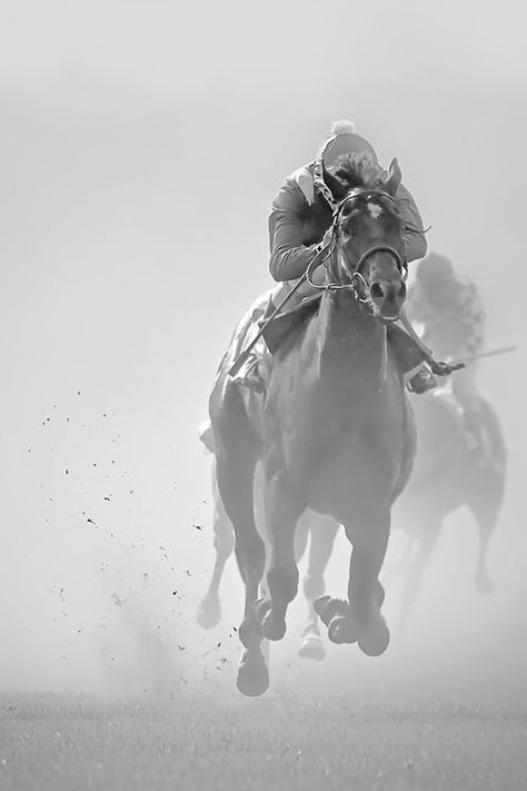 Race Photography, Thoroughbred Racehorse, Thoroughbred Horse Racing, Horse Aesthetic, Eat My, Thoroughbred Horse, Horse Quotes, Equine Photography, Horse Photos