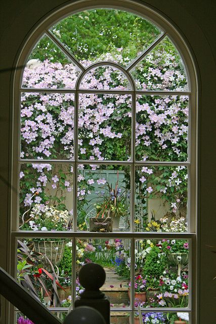 i would like to look  out my kitchen  window  into  a greenhouse  filled  with flowers  maybe  some  day Window With Flowers, An Open Window, Cow Shed, Magic Garden, Looking Out The Window, Beautiful Windows, The Secret Garden, Pergola Patio, Window View