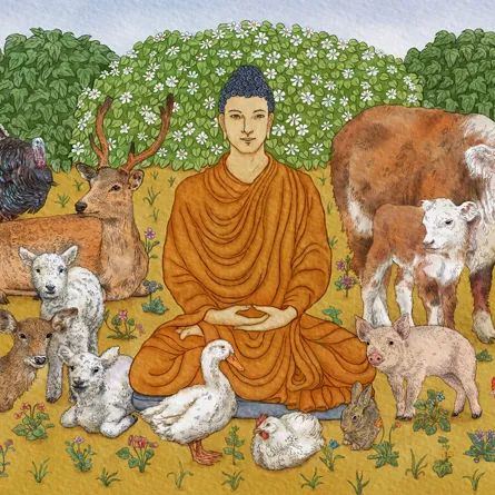 Religion And Spirituality, Humans And Animals, Art Buddha, Quotes Music, Buddhist Philosophy, Factory Farming, Gautama Buddha, Buddha Painting, Buddha Image