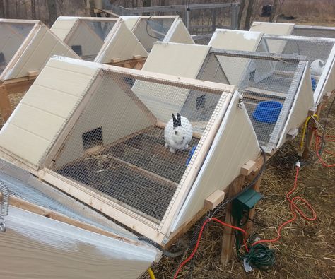 DIY rabbit hutch design. It's safe, sturdy, attractive, predator-proof, tornado-proof, and hurricane-proof. #homestead #rabbits Wire Rabbit Cages, Rabbit Hutch Plans, Indoor Rabbit Cage, Diy Rabbit Hutch, Outdoor Rabbit Hutch, Rabbit Farm, Meat Rabbits, Bunny Hutch, Woodworking Chisels