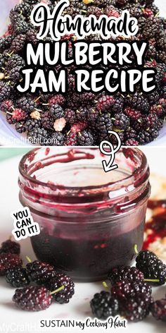 How To Make Mulberry Jam, Mulberry Jam Recipe Easy, White Mulberry Recipes, Mullbery Recipe, Deer Jerkey, Mulberry Jam Recipe, Mulberry Benefits, Tiger Siberian, Mulberry Jam