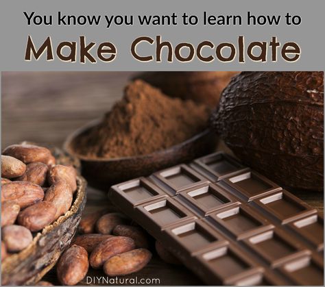 Easy Hot Cocoa Recipe, Chocolate Mars, Homemade Chocolate Bars, Chocolate Lasagna, Chocolate Candy Recipes, Chocolate Recipes Homemade, Hot Cocoa Recipe, Cocoa Recipes, Candy Making