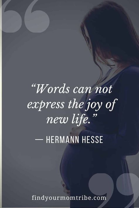 130 Most Beautiful Pregnancy Quotes For Moms To Be Quotes About Pregnancy Emotions, Mom To Be Quotes First Time, To Be Mom Quotes, Pregnant Quotes Beautiful, Pregnancy Journey Quotes, Parents To Be Quotes, First Pregnancy Quotes, Mom To Be Quotes, Pregnancy Quotes Beautiful