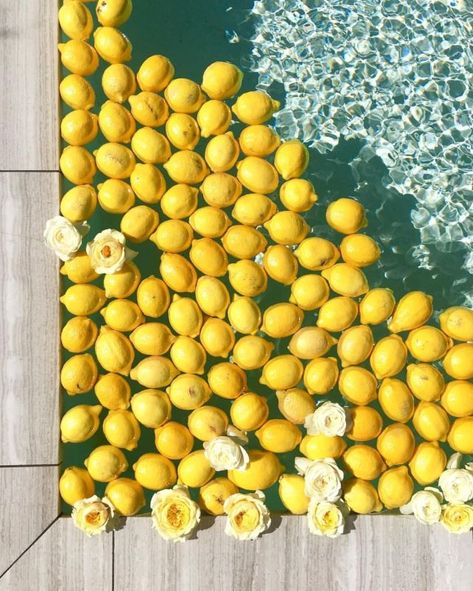 Shades Of Yellow Color, Wedding Theme Color Schemes, Yellow Wedding Theme, Lemon Lemonade, Lemon Patterns, Summer Yellow, Wedding Theme Colors, Yellow Wedding, Lemon Print