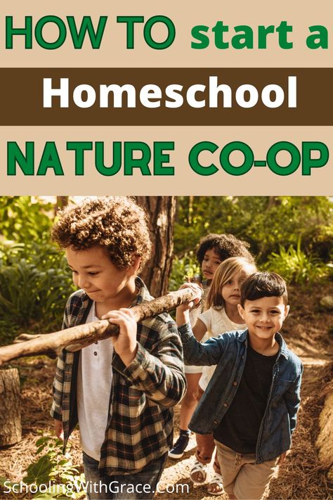 How to start  a homeschool nature co-op! This blog post explores the benefits of starting a nature-based co-op, provides a step-by-step guide, and offers inspiration for fostering a love of nature in your homeschooling community. Starting A Homeschool Group, Homeschool Group Activity Ideas, Co Op Ideas Homeschool, Homeschool Outside, Outdoor Exploration Activities For Kids, Outdoor School Ideas, Nature School Ideas, Homeschool Co Op Ideas, Microschool Ideas