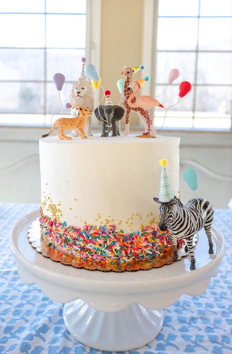 Food For Birthday Party For Kids, Zoo Animal Cake, Zoo Birthday Cake, Two Wild Birthday Party, Mini Party Hats, Zoo Cake, Party Animals Birthday, Party Animal Birthday, Toddler Play Ideas