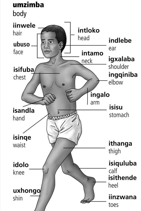 Body parts in Xhosa Xhosa Quotes, Xhosa Language, Photo Essay Examples, Informative Speech Topics, Zulu Language, Xhosa Culture, Funny Mean Quotes, Informative Essay, Propaganda Art