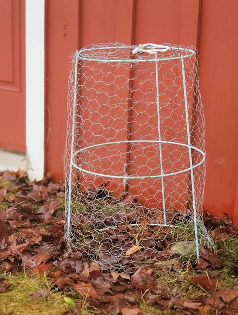 Chicken Wire Plant Protection, Chicken Proof Plants, Chicken Wire Cloche Diy, Chicken Proof Garden, Chicken Wire Garden, Chicken Wire Projects, Garden Supports, Chicken Wire Art, Chicken Wire Basket