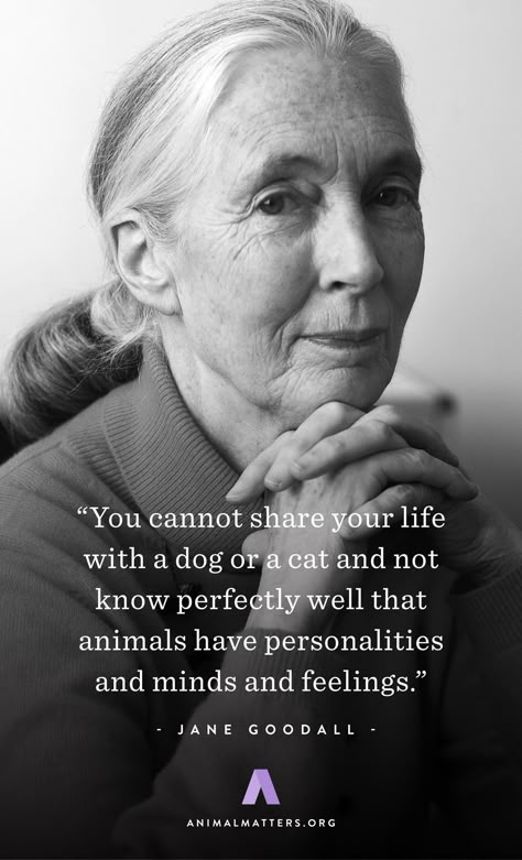 Jane Goodall Animal Rights Quote "You cannot share your life with a dog or a cat and not know perfectly well that animals have personalities and minds and feelings" Animal Rights Quotes, Animal Activism, Vegan Quotes, Jane Goodall, Animal Rights, Animal Quotes, Dog Quotes, Quotable Quotes, Personalities