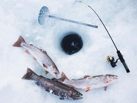 Ice Fishing Tips, Ice Fishing Lures, Winter Fishing, Brook Trout, Walleye Fishing, Fish House, Brain And Heart, Crappie Fishing, Fishing Techniques