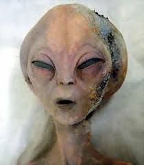 real aliens - Google Search Alien Facts, Creepy Old Photos, Alien Videos, Alien Pictures, Ancient Astronaut Theory, Ufos Are Real, Aliens History, Alien Sightings, Alien Photos