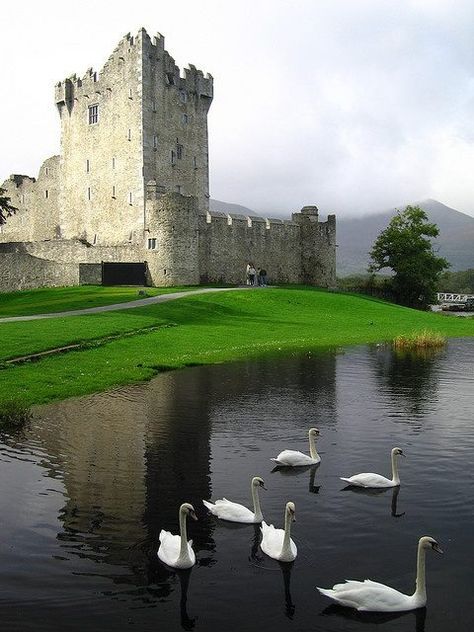 A castle in Ireland Ross Castle, Castle Combe, Old Castle, Kerry Ireland, Irish Castles, Famous Castles, Real Estat, Killarney, Beautiful Castles