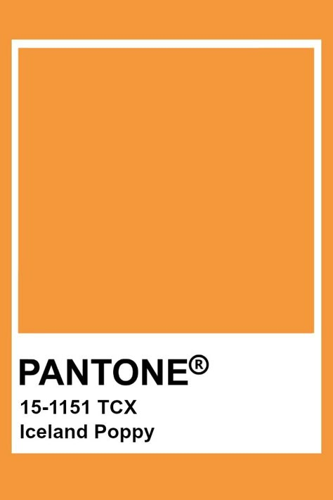 Pantone Iceland Poppy Pixelated Artwork, Orange Pantone, Pantone Orange, Iceland Poppy, Pantone Tcx, Pantone Color Chart, Pantone Swatches, Pantone Palette, Color Pantone