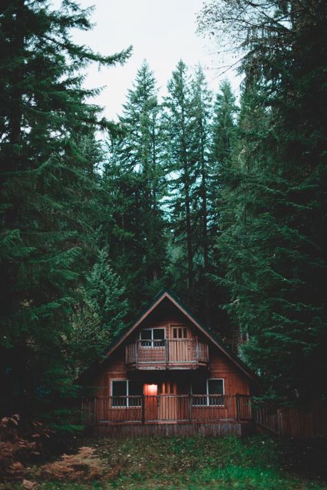 A cozy cabin in the woods. Little Cabin, A Cabin, Cabins And Cottages, Cabin Life, Forest House, Cabin Homes, Pine Trees, Cabins In The Woods, Design Case