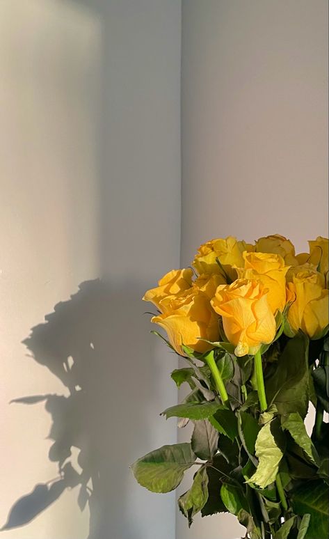 Love Rose Flower, Yellow Rose Flower, Tulip Season, Easy Photography Ideas, Flowers Instagram, Rose Flower Wallpaper, Architecture Wallpaper, Flowers Photography Wallpaper, Sunflower Wallpaper